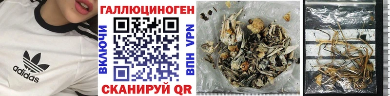 Галлюциногенные грибы мицелий  магазин  наркотиков  Вичуга 