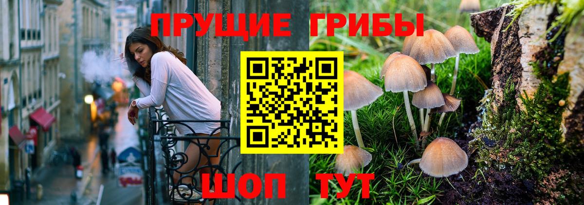 Вичуга  Псилоцибиновые грибы ЛСД  где купить наркотик  Вход с VPN  Псилоцибиновые грибы мухоморы 