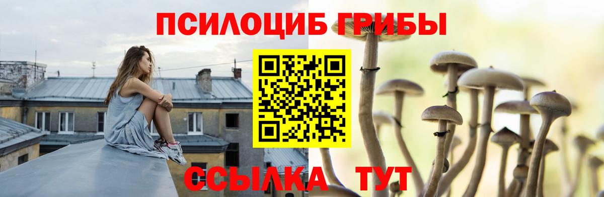 Галлюциногенные грибы Psilocybine cubensis Вичуга